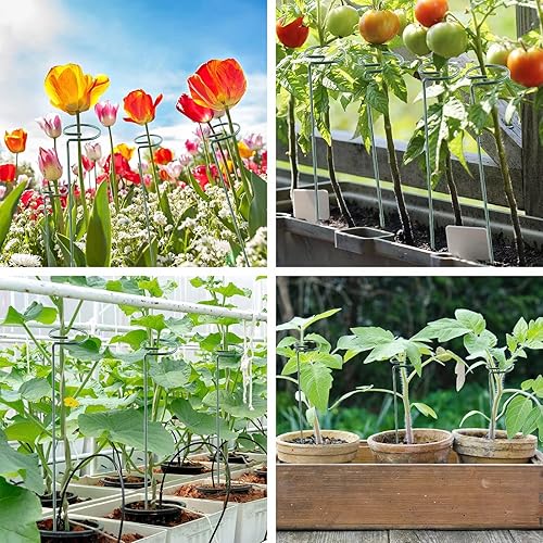 Miniatura 5 de Thealyn Paquete de 12 estacas de soporte para plantas de 18 pulgadas, aros de metal de soporte de flores de un solo tallo, estacas de plantas de