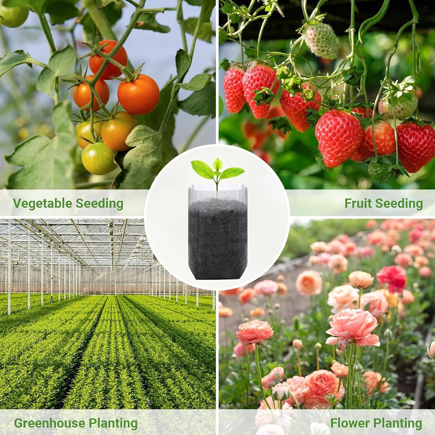 Seedling Grow Bags, 200 Pack Plant Grow Bags Fabric Pots 16x20cm Non-Woven Planting for Greenhouse Seed