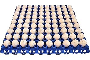 90 Quail Egg Plastic Trays by RITE FARM PRODUCTS Flat Carton For Bird Dove Square