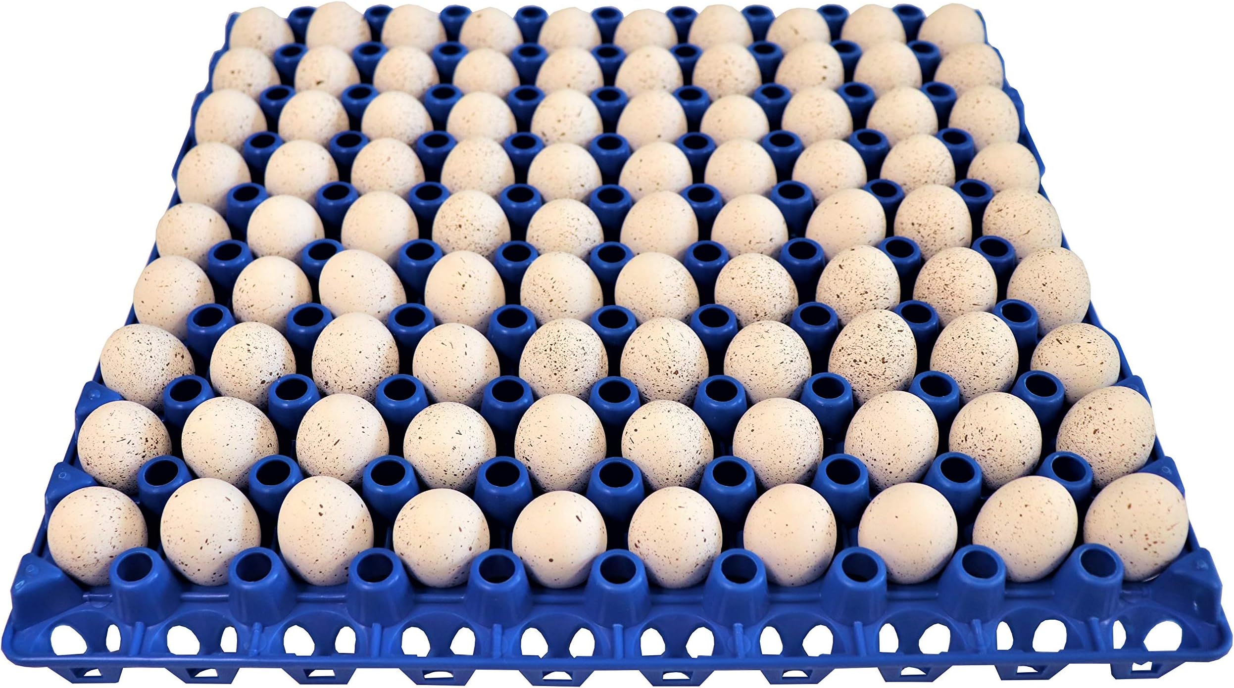 6 RITE FARM PRODUCTS 90 Egg Plastic Trays for Quail Pigeon Dove Bird Flat Carton