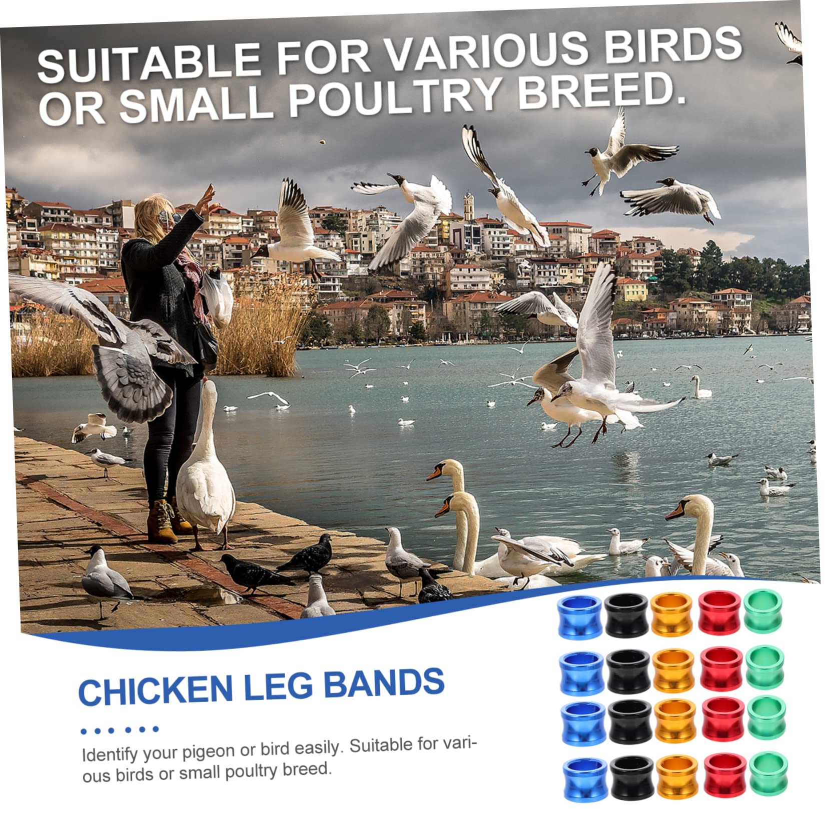 BESPORTBLE 100piezas Anillas De Identificación para Palomas Anillos De para Aves Suministros para Distinción De Aves Domésticas