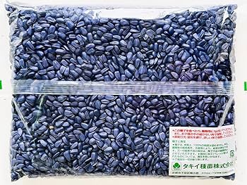 Amazon.co.jp: ひまわり種子 品種：緑肥用ひまわり イノベル