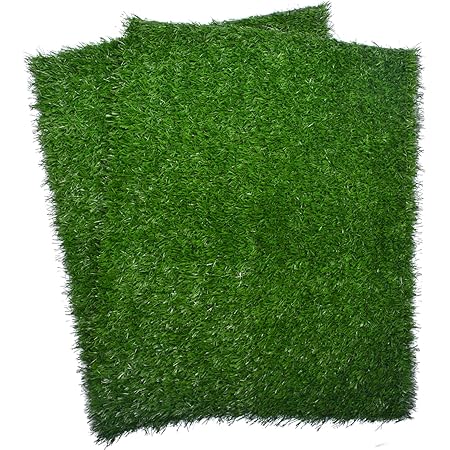 tinkle turf amazon