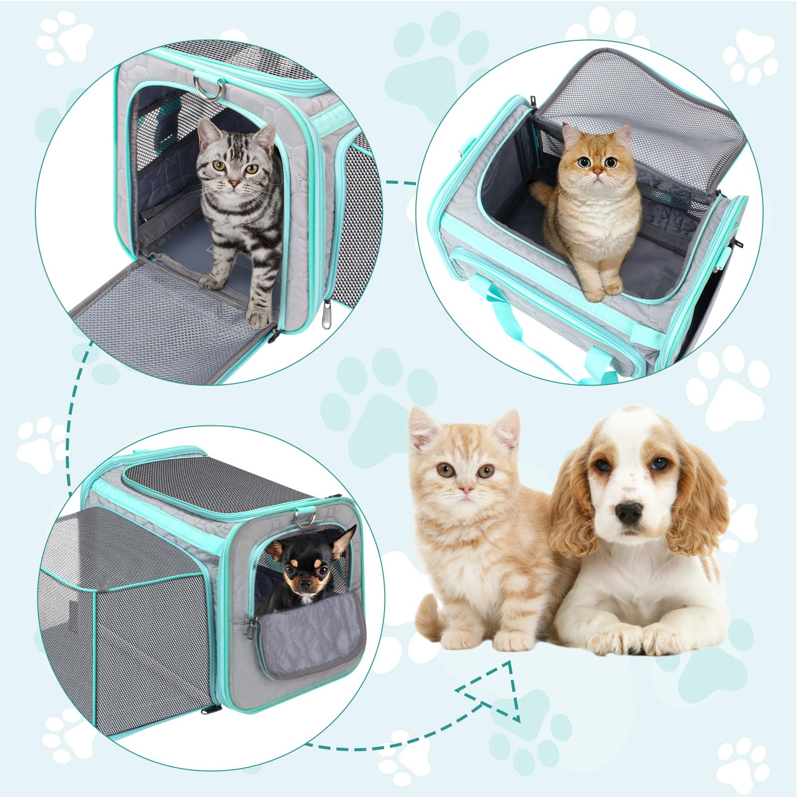 Trasportino Gatto, Borsa Per Cani Pieghevole ed Estensibile, Sicuro e Traspirante, Approvato dalle Compagnie Aeree per l'Uso come Borsa per Trasportino Cani Aereo fino a 6.8kg