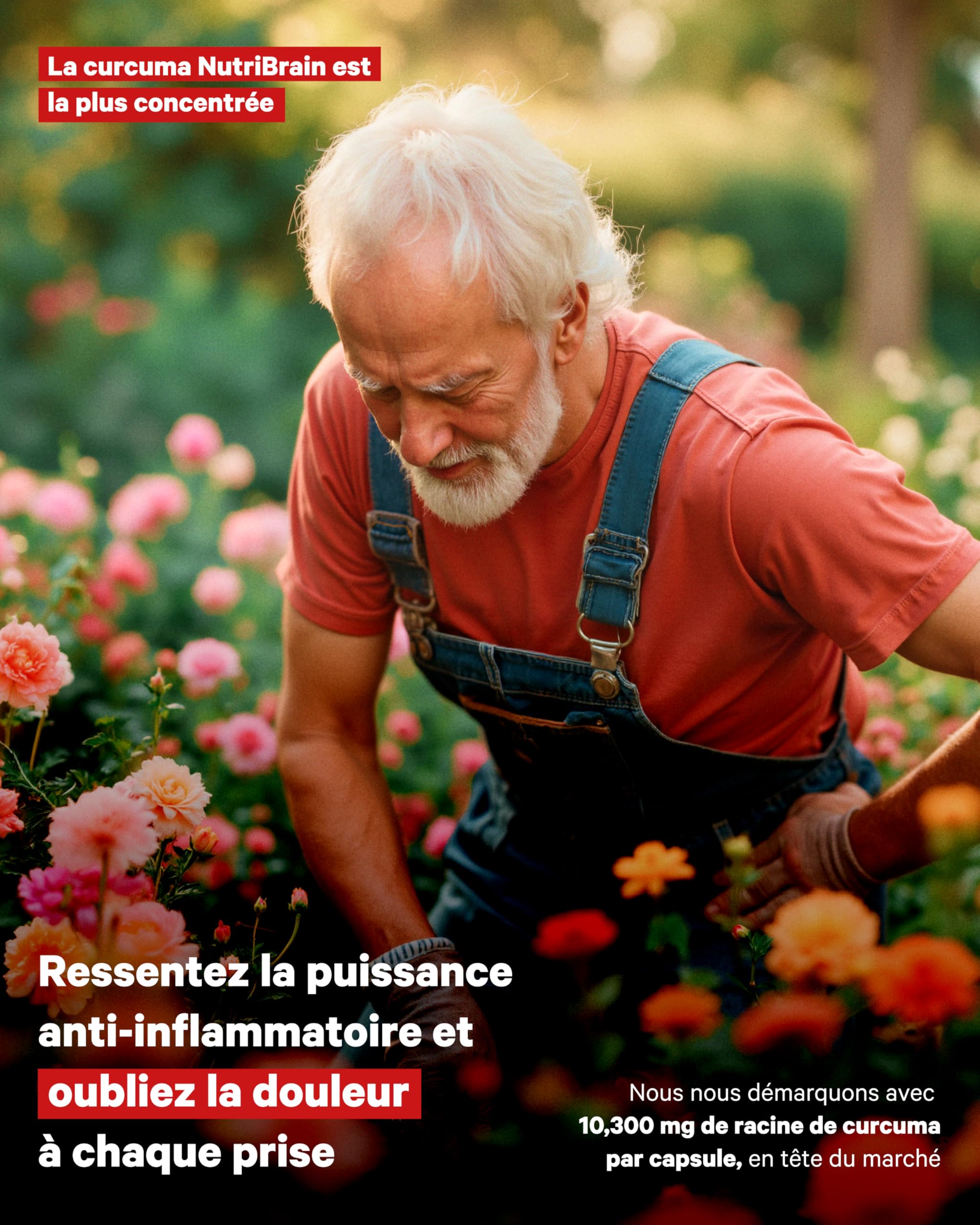 Curcuma avec PROBIOTIQUES et PRÉBIOTIQUES | Très Haute Concentration (>95%) | 10300 mg | Anti-inflammatoire pour le Bien-être Articulaire, Musculaire, Osseux et Digestif | 125 jours | 1 gélule/jour