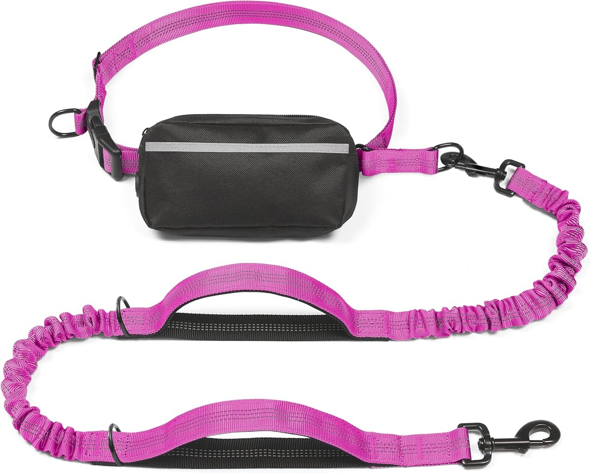 Hands Free Dog Leash with Zipper Pouch, Large, 25-120LB, Very Berry | Waist Leash, Dual Padded Handles, Shock-Absorbing Bungee, Adjustable Waist Belt, Walking and Running