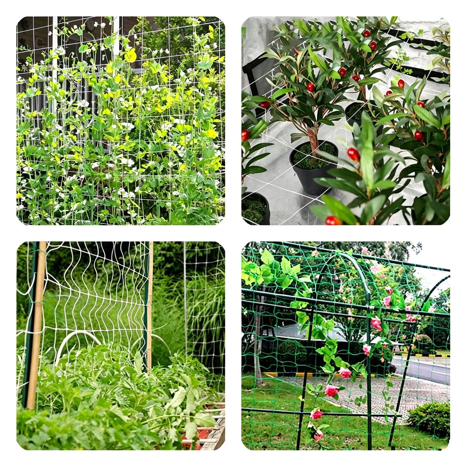 Filet à Ramer pour Plantes Grimpantes​, Filet de Soutien pour Vignes