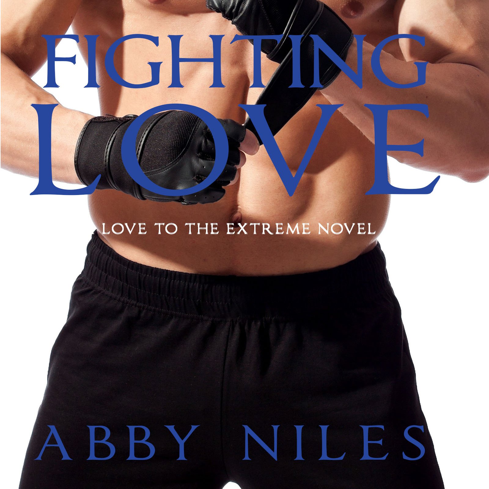 Cover art for Fighting Love