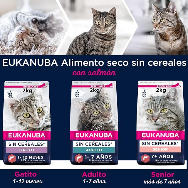 Foto 5 de 8 de EUKANUBA Grain Free Alimento Seco para Gatitos, Salmón, 10kg