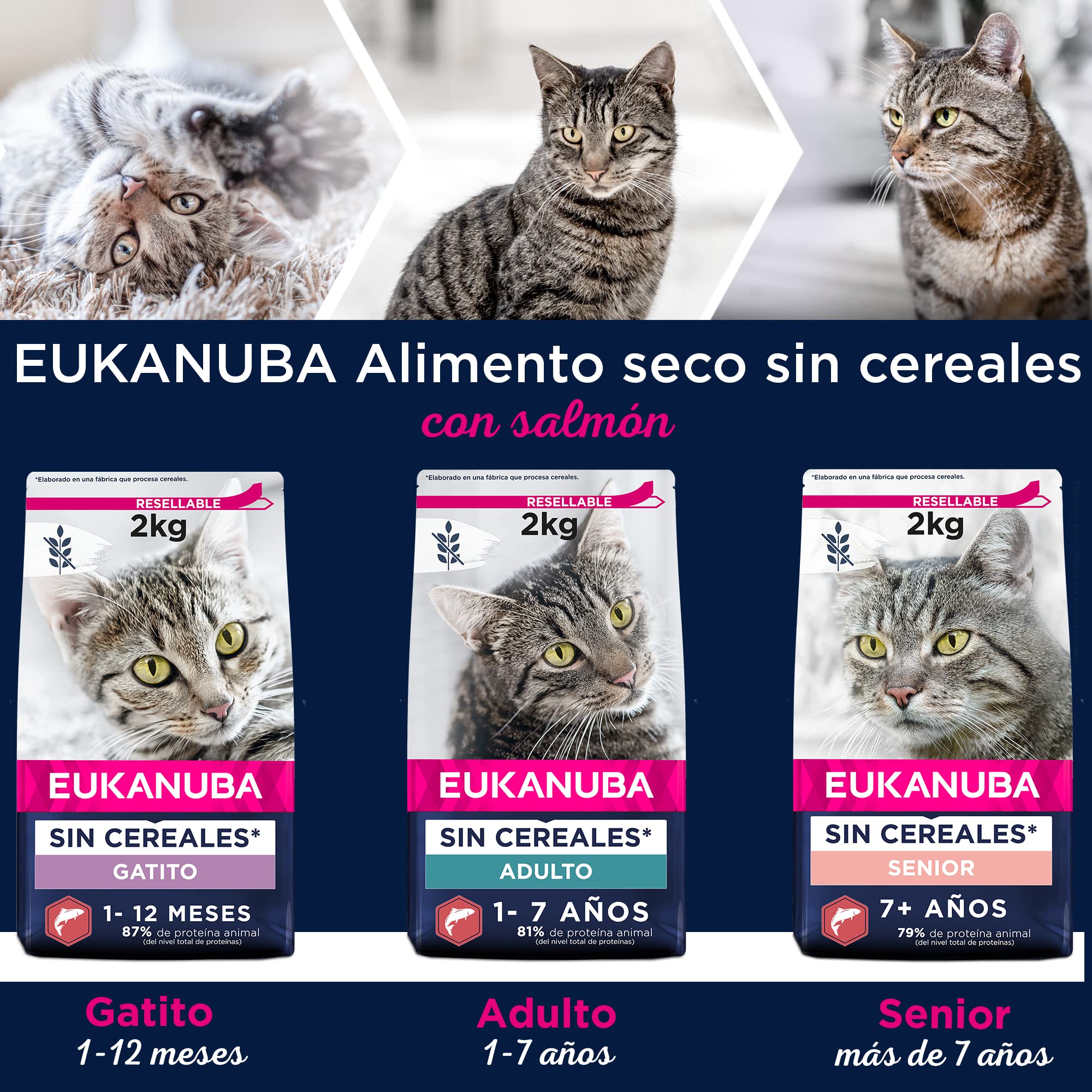 EUKANUBA Grain Free Alimento Seco para Gatos Adultos, Alimento Seco Premium Rico en Salmón para Gatos, 10 kg
