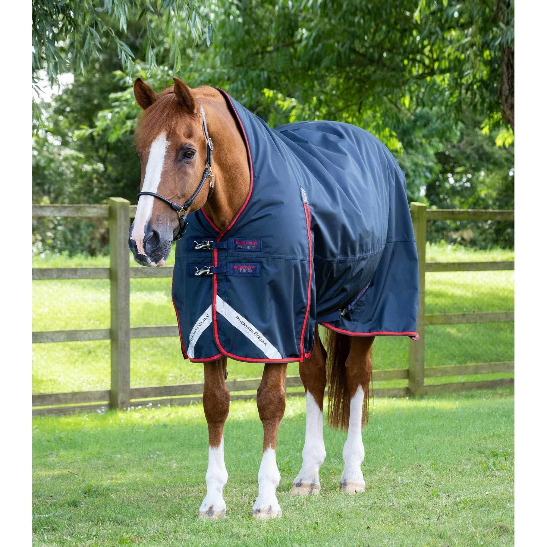 Coperta impermeabile per cavalli Premier Equine Buster Hardy 200 g