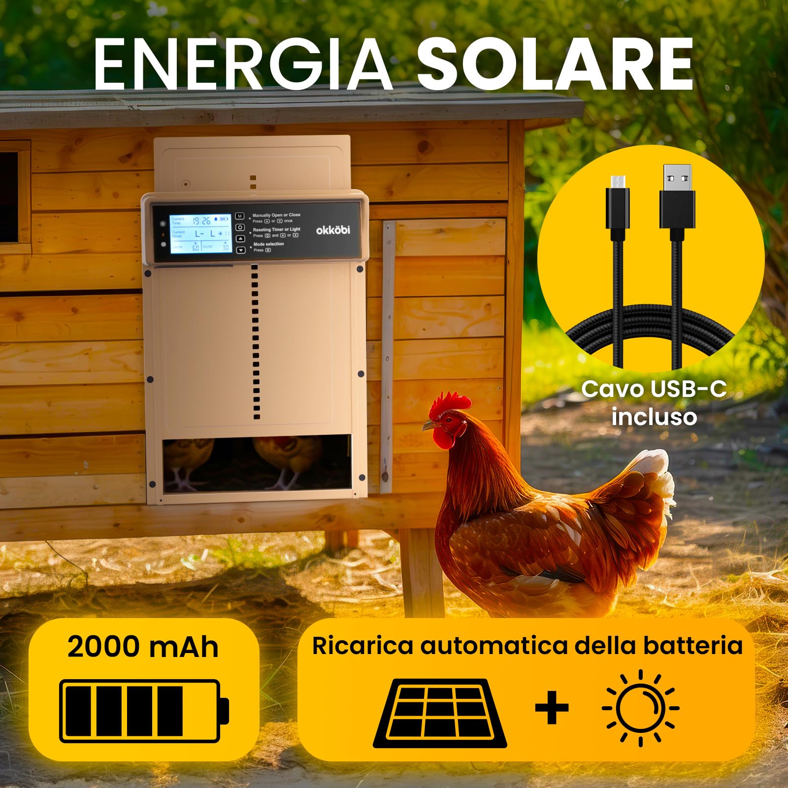 Chicken Coop Door Porta Automatica Pollaio Solare, Display LCD | Sensore di Luce e Timer, Funzione Antipizzicamento, Batteria da 2000 mAh, Intelligente e Sicura - Oro Rosa