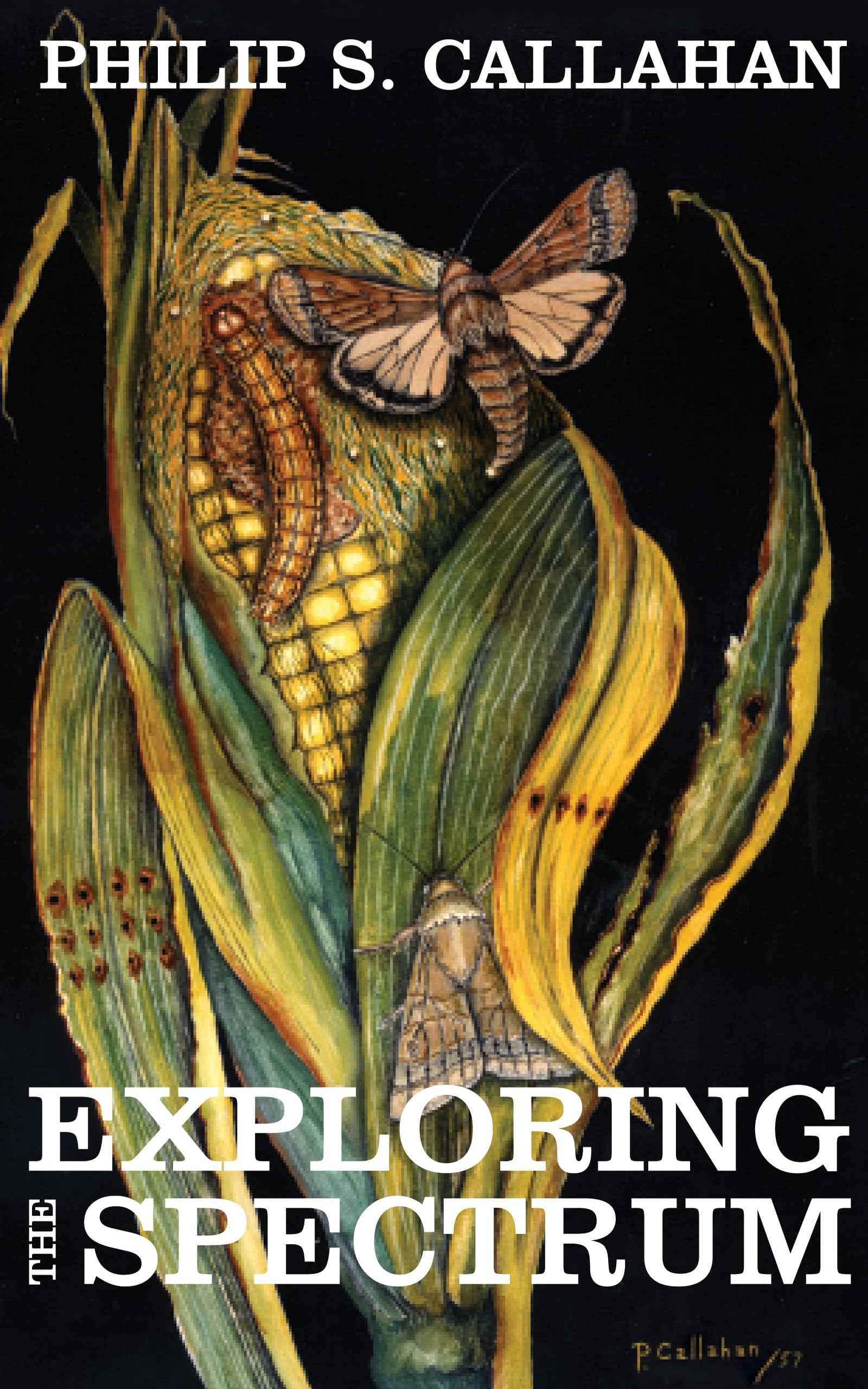 Exploring The Spectrum