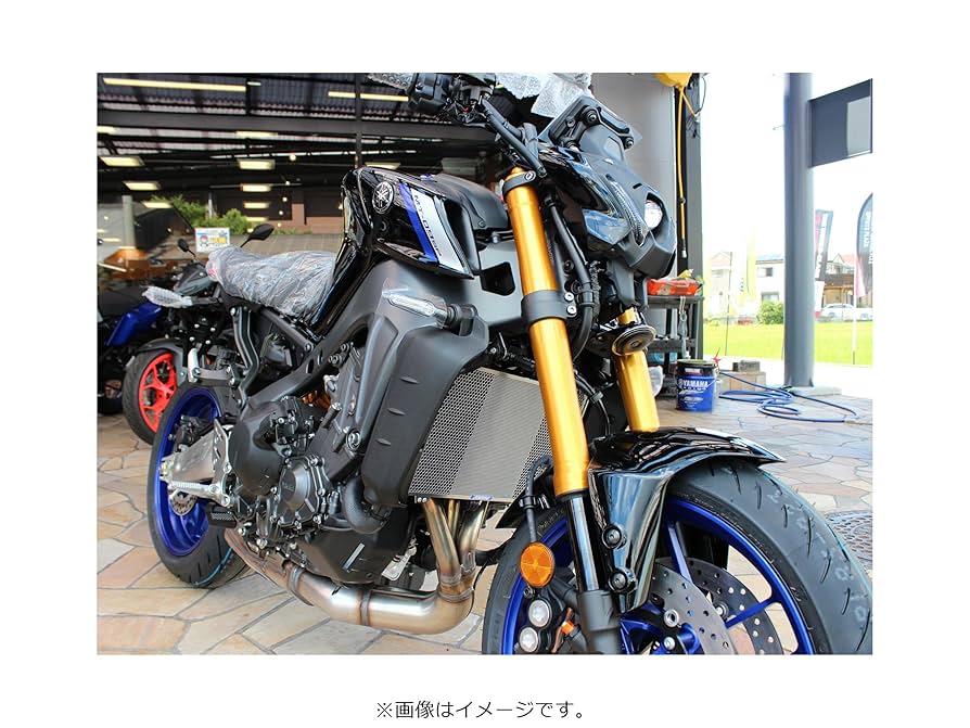 Amazon.co.jp: エッチングファクトリー ラジエターコアガード
