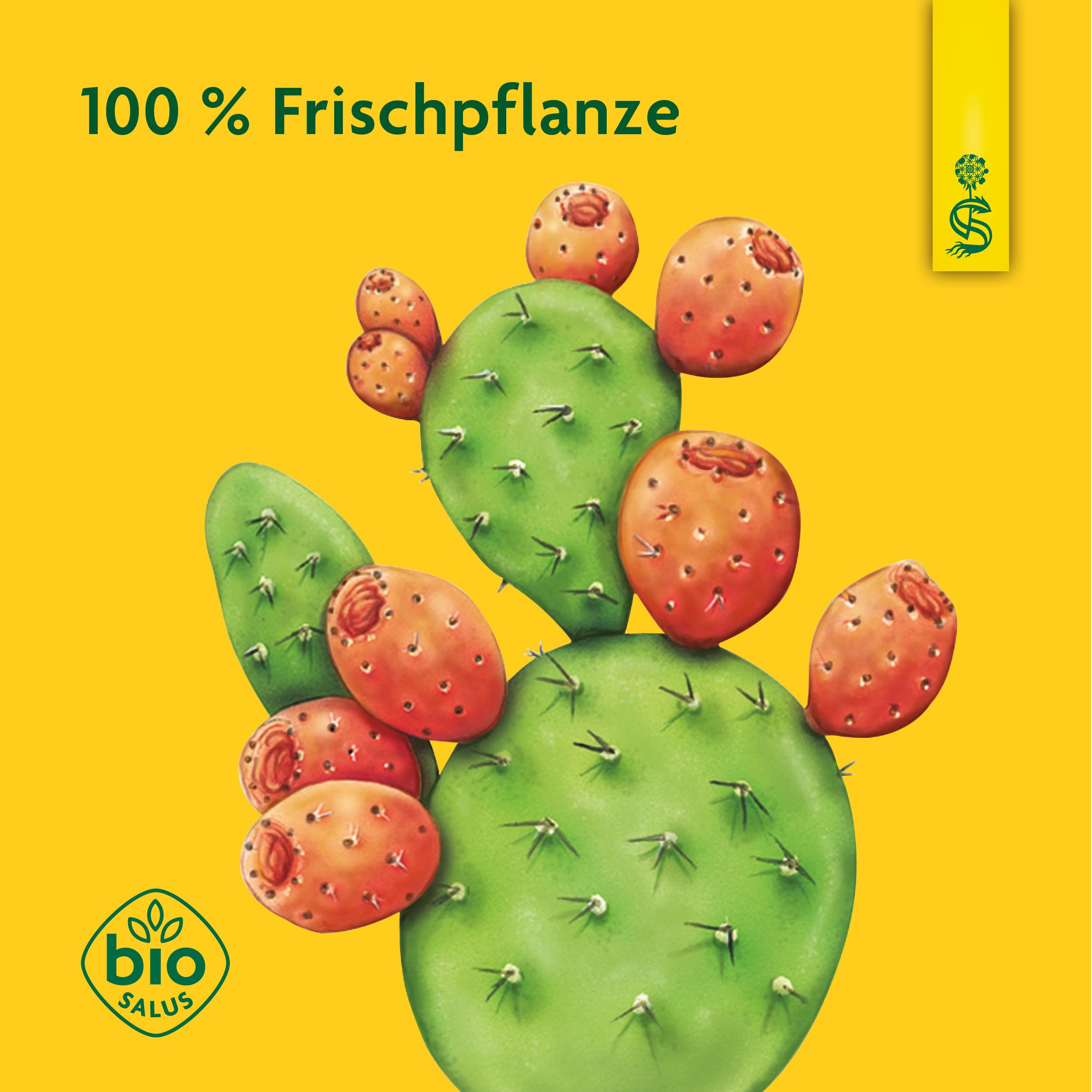 Schoenenberger - Kaktusfeige naturreiner Fruchtsaft - 1x 200 ml Glasflasche  - Energielieferant fr starke Nerven* und Energie** - natrlich frisch  gepresst - bio : Amazon.de: Drogerie & Krperpflege