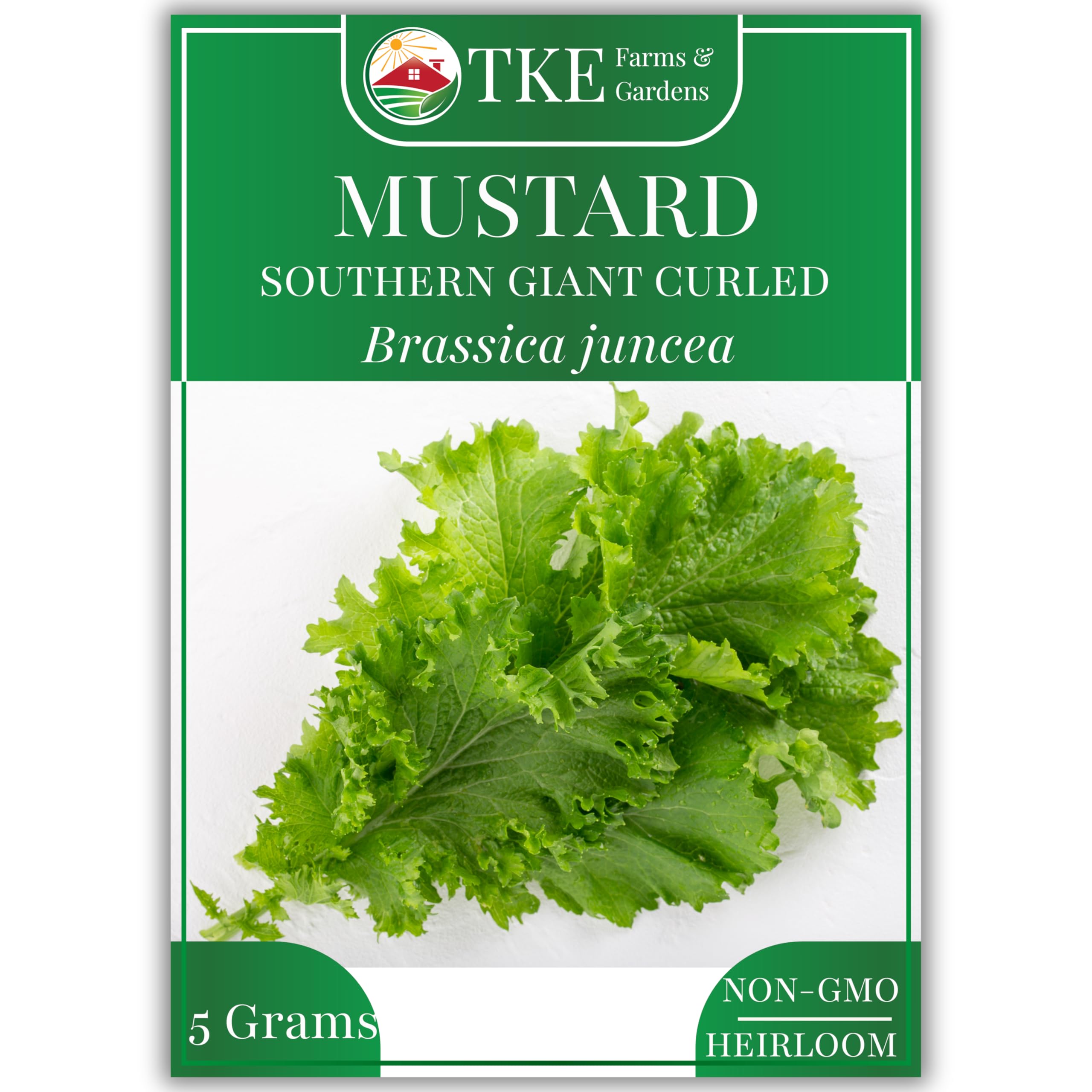 Mustard Green Seeds for Planting, Southern Giant Curled, 2000+ Heirloom Non-GMO Seeds, Grow Your own Mustard Greens, Instructions Included on Seed Packet, Brassica juncea, Qty 1