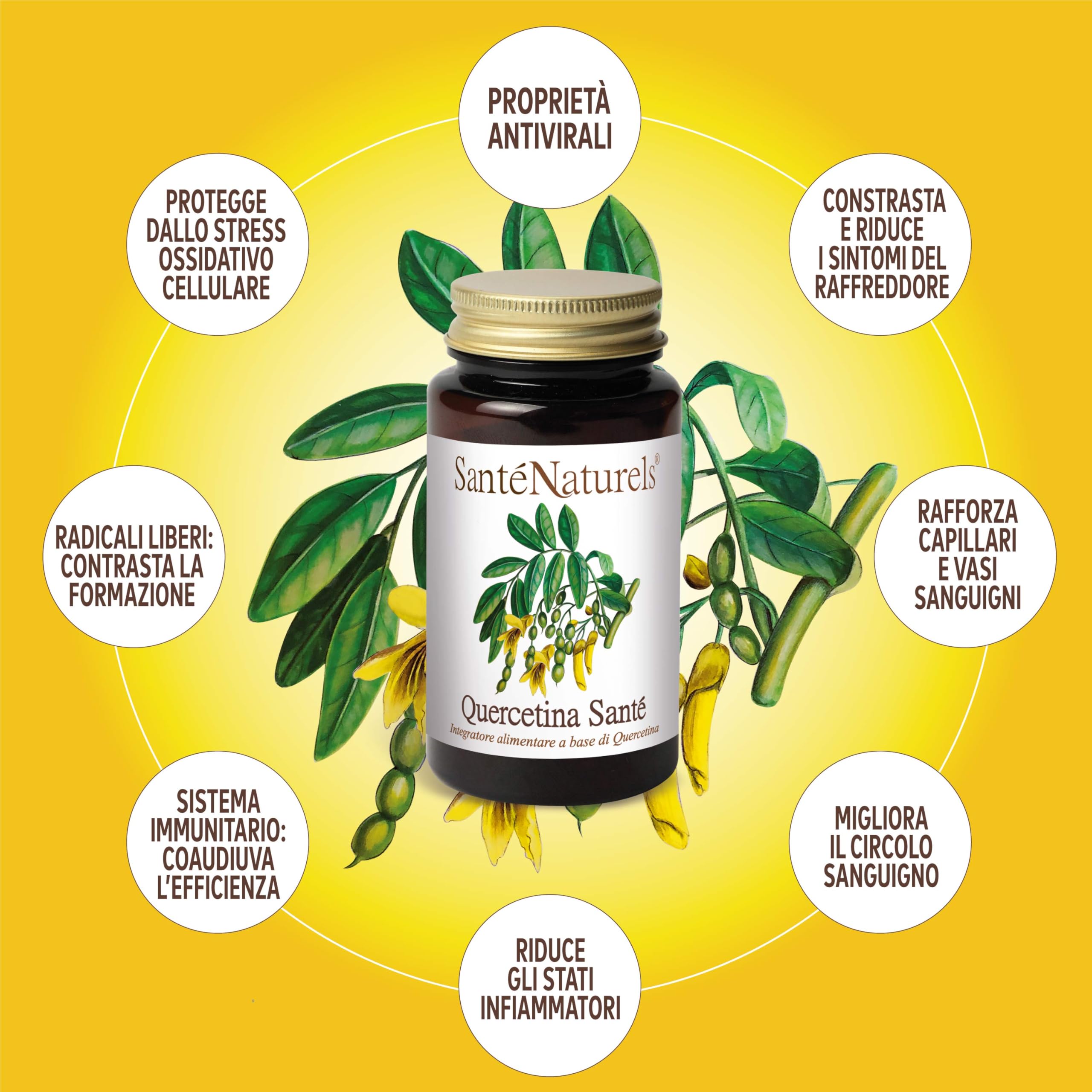 Quercetina Pura ● 90 Capsule Vegetali da 300 mg ● Integratore Alimentare di Flavonoidi Naturale ● Made in Italy