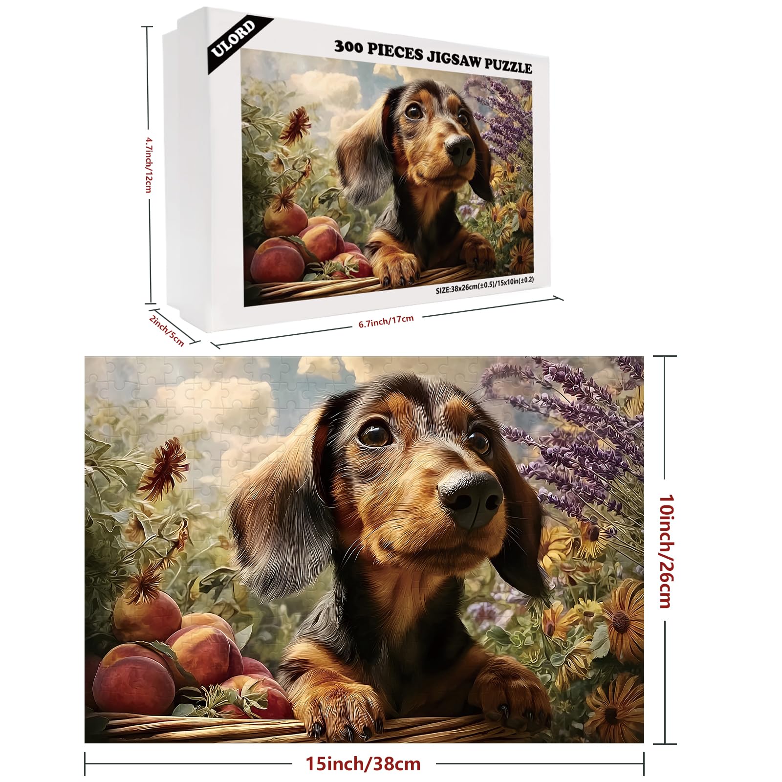 Great Jigsaw Puzzles for Adults 300 Pieces Dachshund Puppy Palying in The Garden Puzzles for Adults Toys Gift Family Decoration Kids Puzzle - Image 2