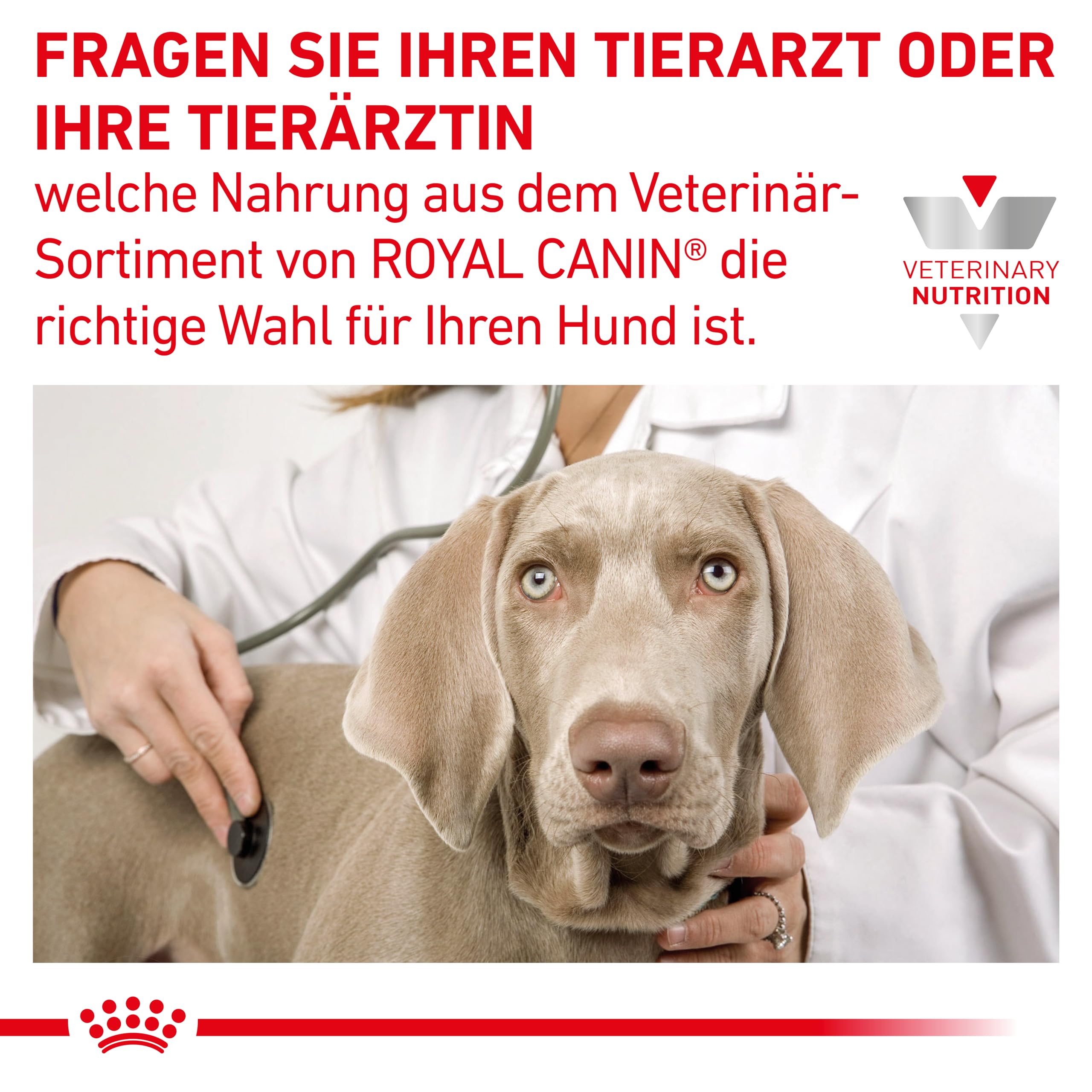 Royal Canin Gastro Intestinal GI32 | €41,50