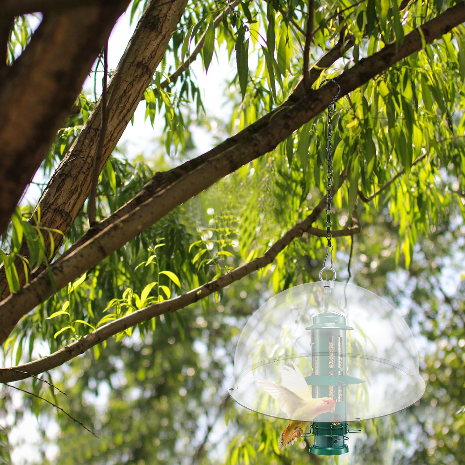 2 pièces Dôme de Protection pour Mangeoires à Oiseaux,Diamètre 30cm Couverture de Pluie Transparente Anti Écureuils Idéal,avec des Chaînes,pour Le Jardin et la Terrasse