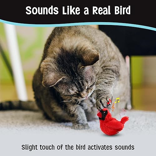 Miniatura 4 de SPOT Song Birds - Juguete para gatos con hierba gatera activada por el tacto, imita canciones reales de pájaros, juguete que funciona con pilas