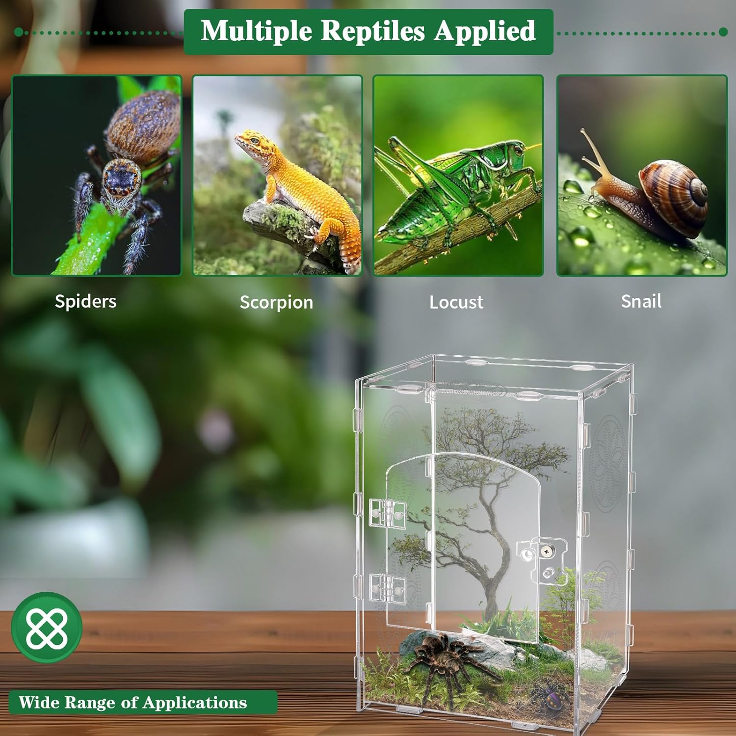 Jumping Spider Enclosure, 11.8x7.8x6 Inch Jumping Spider Enclosure Accessories, Tarantula Enclosure Accessories with Air Holes (11.8x7.8x6 inches)