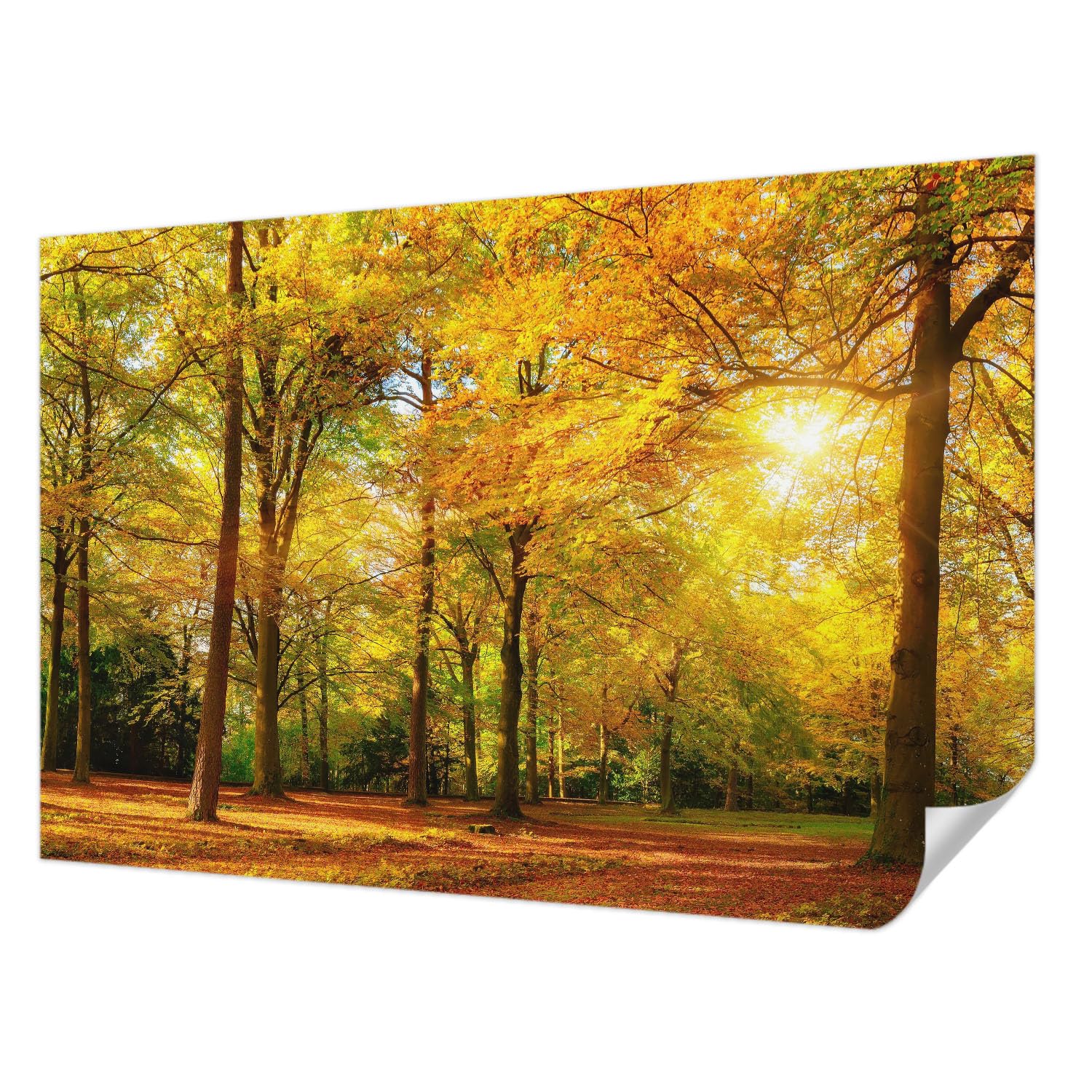 Papier peint adhésif pour salon moderne Tulup motif feuilles dorées pour chambre à coucher