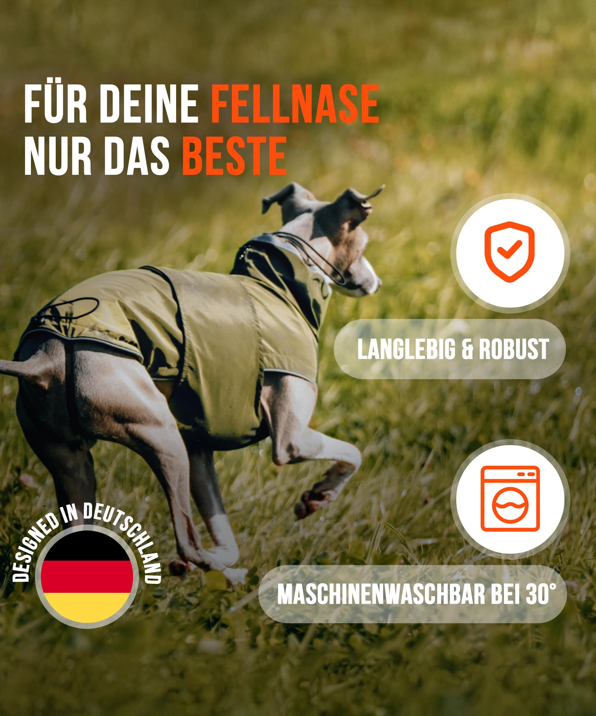 Hunderegenmantel London I Mit extra langem YKK® Reißverschluss für Halsband & Geschirr I Für kleine, mittlere & große Hunde I Wasserdicht & Maschinenwaschbar I Regenmantel für Hunde (45)