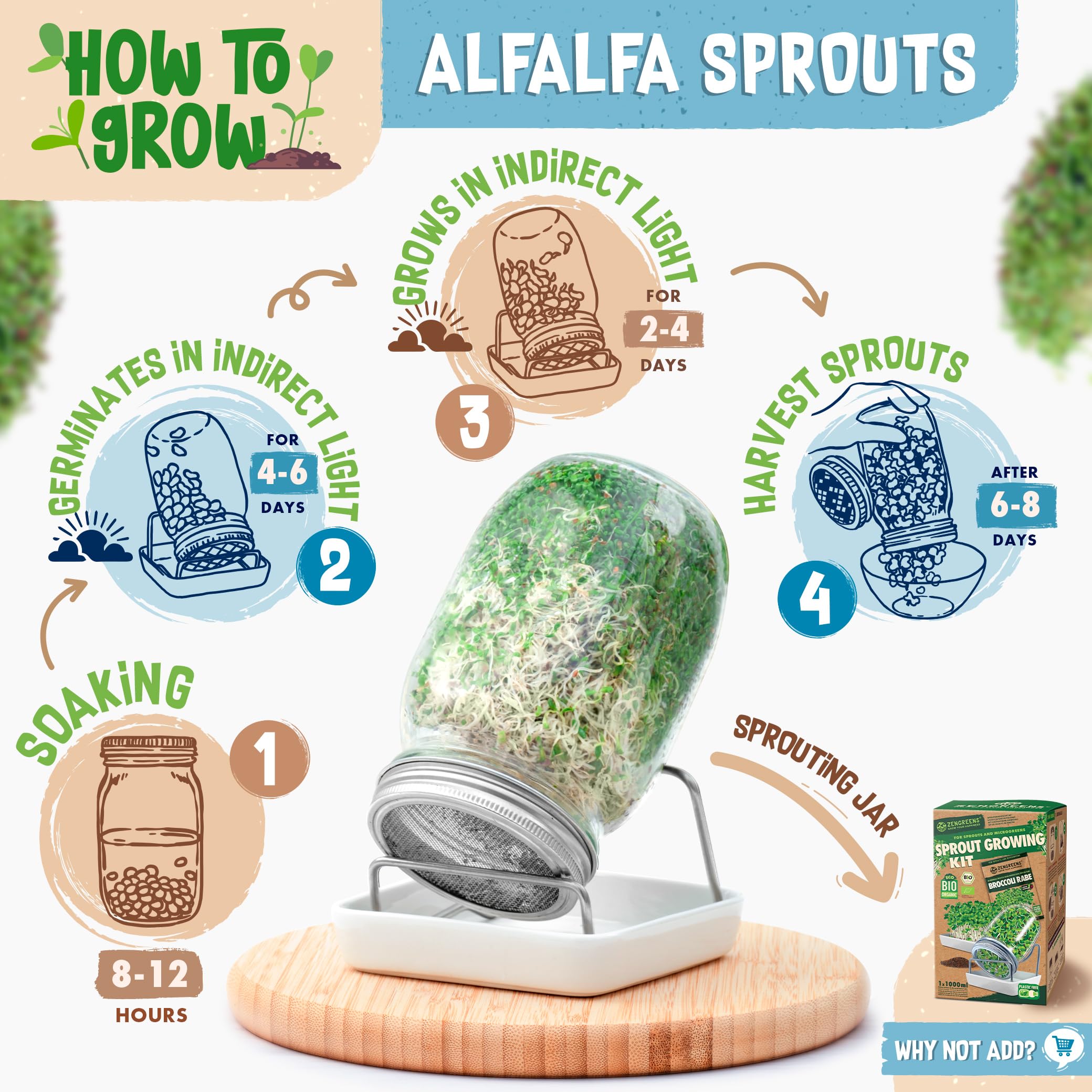 ZenGreens® - Organiczne nasiona lucerny - Wybierz pomiędzy 10, 200 g i 500 - nasiona lucerny o zdolności kiełkowania ponad 97% - nasiona lucerny kiełki