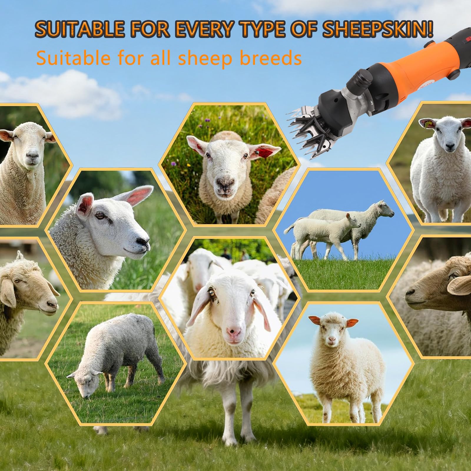1000W Tosatrice Elettrica per Pecore, Kit per La Toelettatura Del Bestiame, Forbici Elettriche Resistenti Con Regolazione a 6 Velocità per Animali a Pelo Spesso, Pecore, Alpaca, Capre 1piece