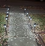 Review Image by Amazon Customer