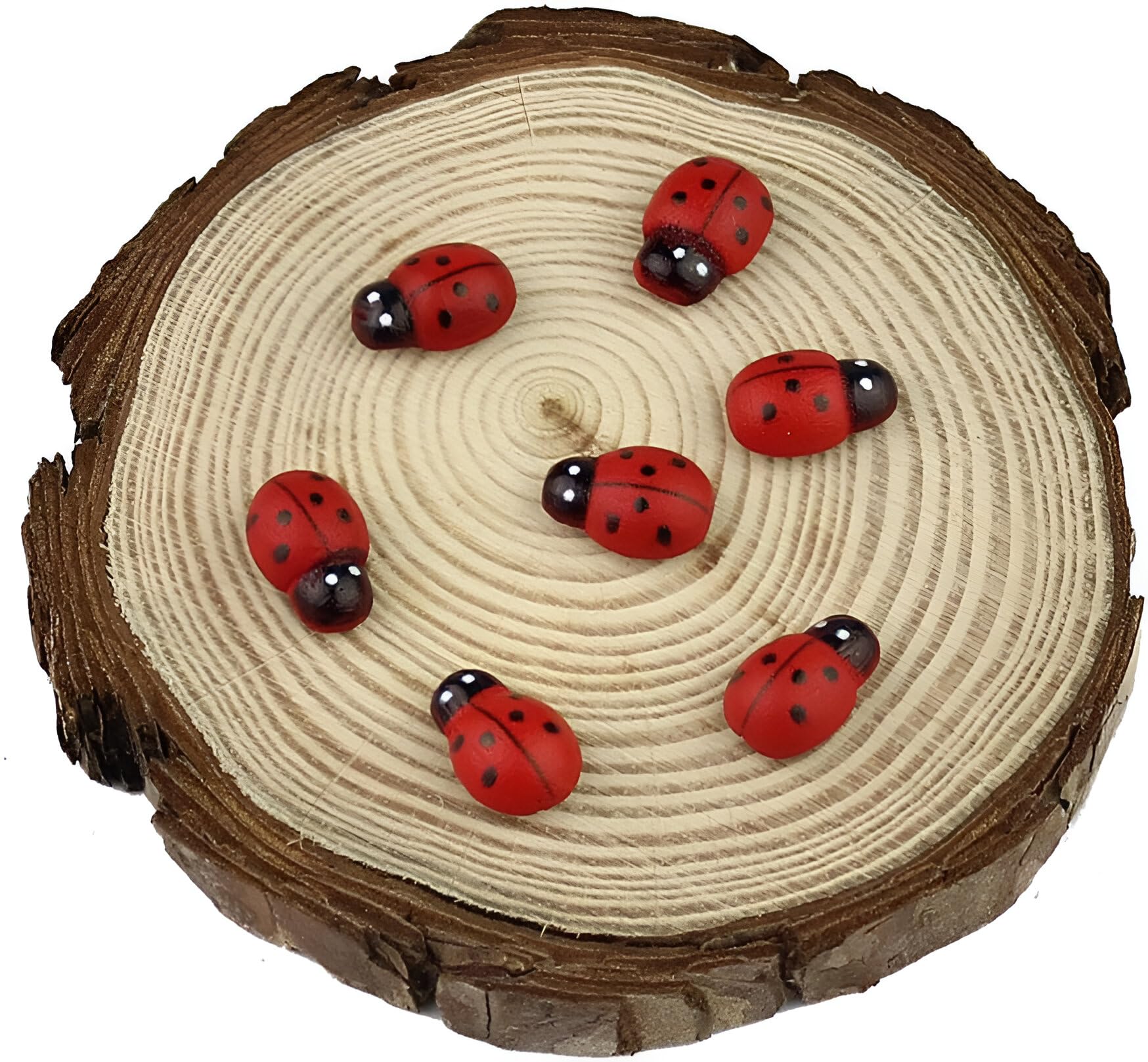 Lieveheersbeestjes kleurrijk 2,5cm 60 stuks