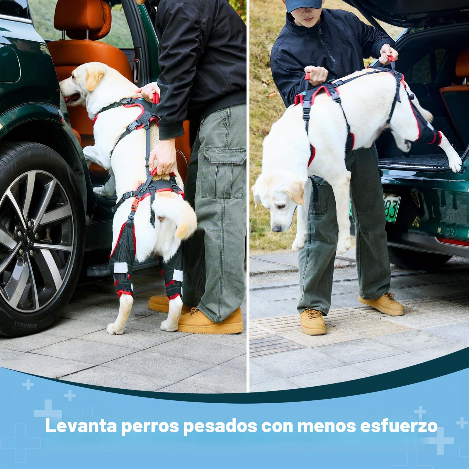 Rodillera para perro con arnés de elevación para patas traseras, juego de 2 – Soporte antideslizante ajustable para perros grandes y mayores, lesión ACL/CCL y ayuda a la movilidad, negro, XL