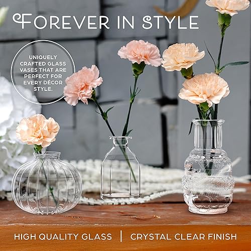 Miniatura 4 de Gather & Bloom Creations Jarrones de cristal a granel  Juego de 10 mini jarrones de centro de mesa de boda  Jarrones de vidrio transparente
