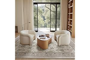 Phantoscope: Vintage Living Room Rug 6x9