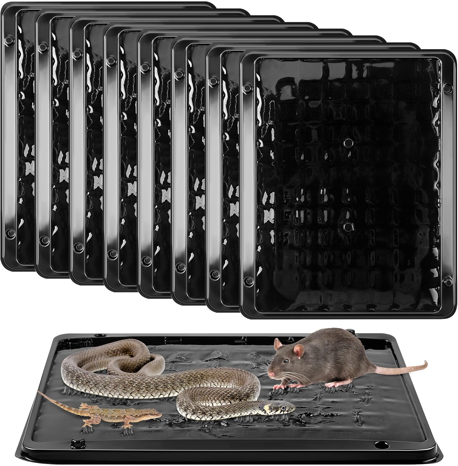 Qualirey 8 Pack Jumbo Rat & Mouse Glue Traps, 11.8 X 9.84 in Large Heavy Duty Mouse Traps Indoor for Home, Pre Scented Adhesive Plastic Tray with for Spider, Snake, Mice, Kids and Pet Safe (Black)