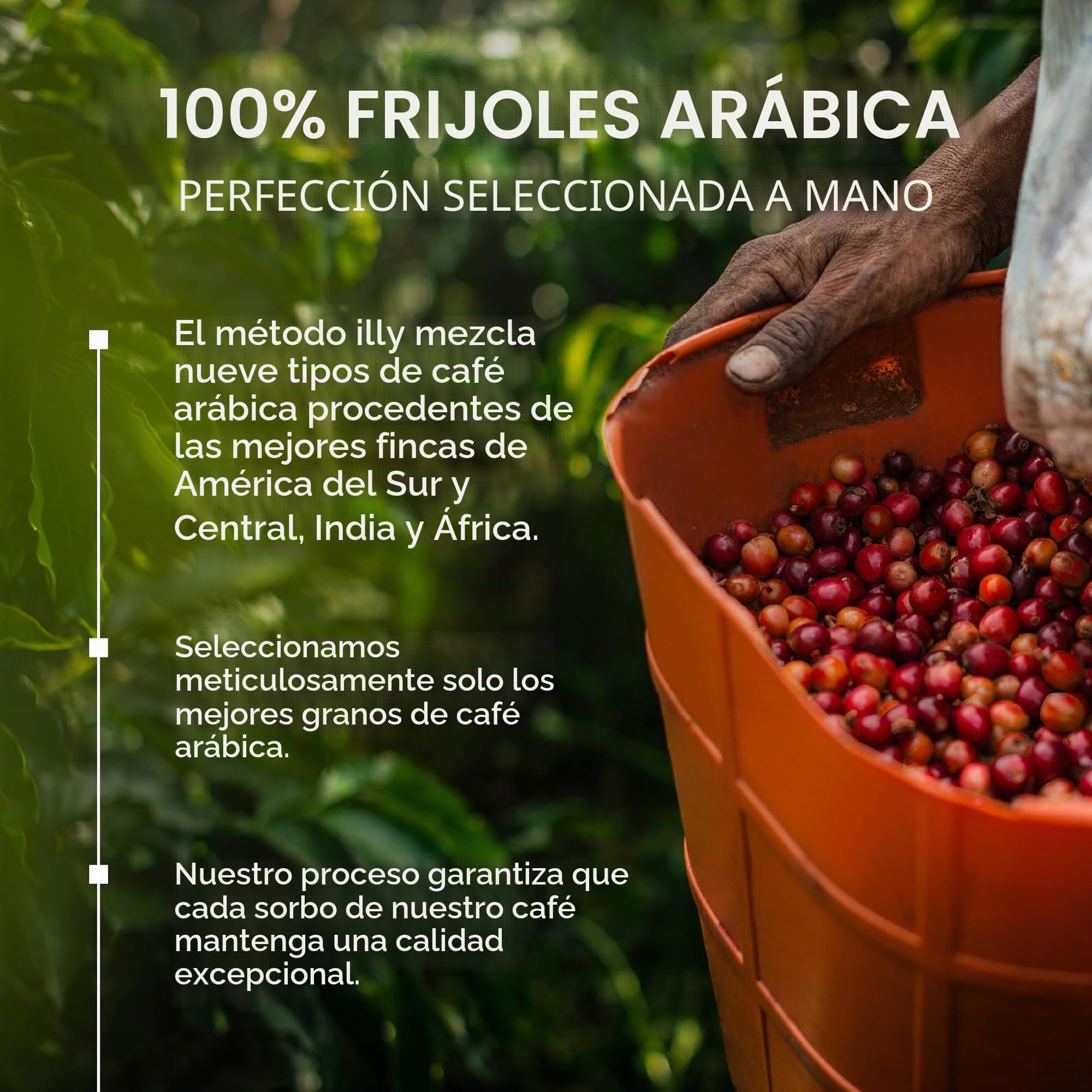 illy, Café en Cápsulas Compatibles de Aluminio CLASSICO, 100% Arabica con notas de flor de naranja y jazmín, sabor dulce y regusto dulce, 10 paquetes de 10 (100 cápsulas en total)