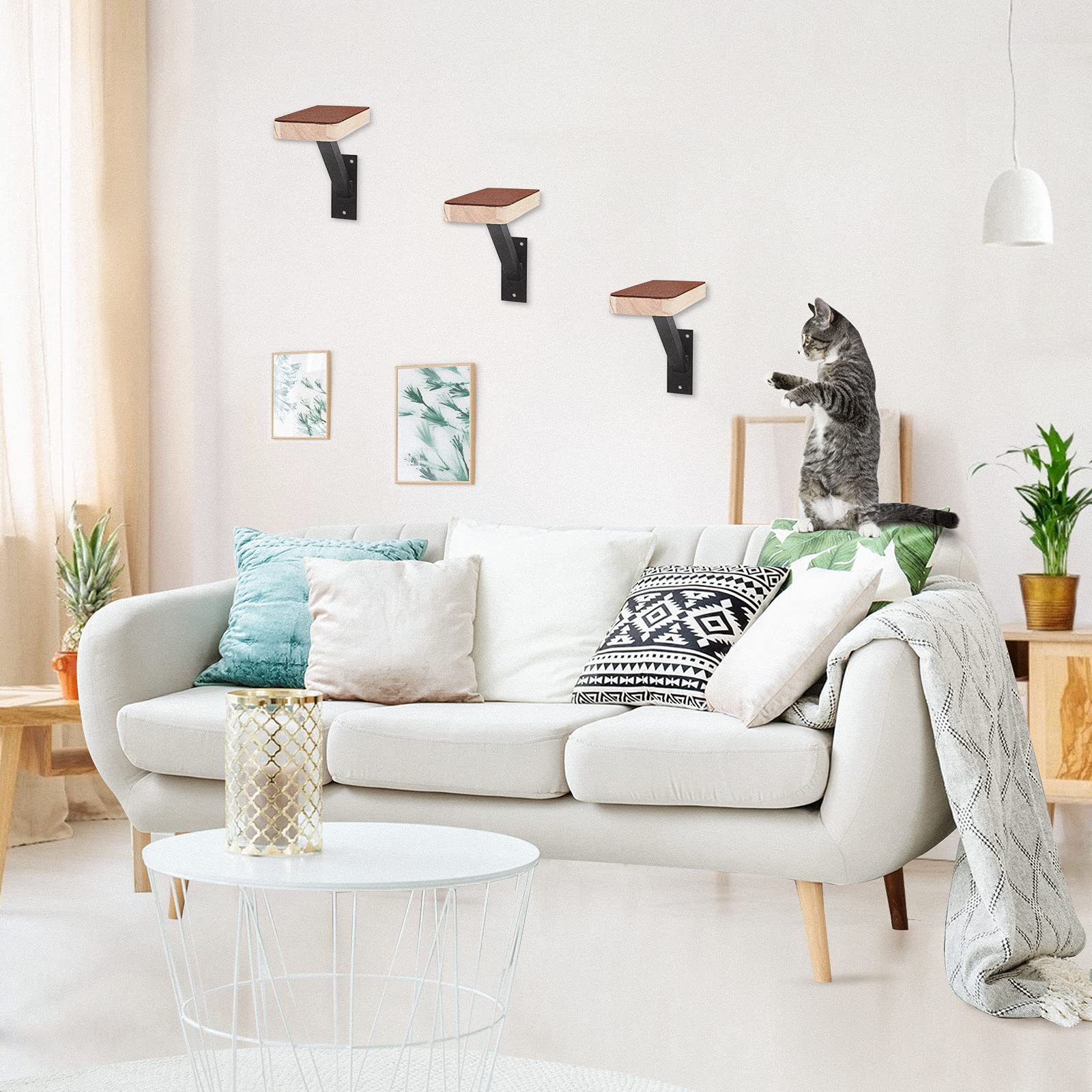 Buy Purife Set of 3 Wood Cat Wall Climbing Steps Cat Wall Ladder