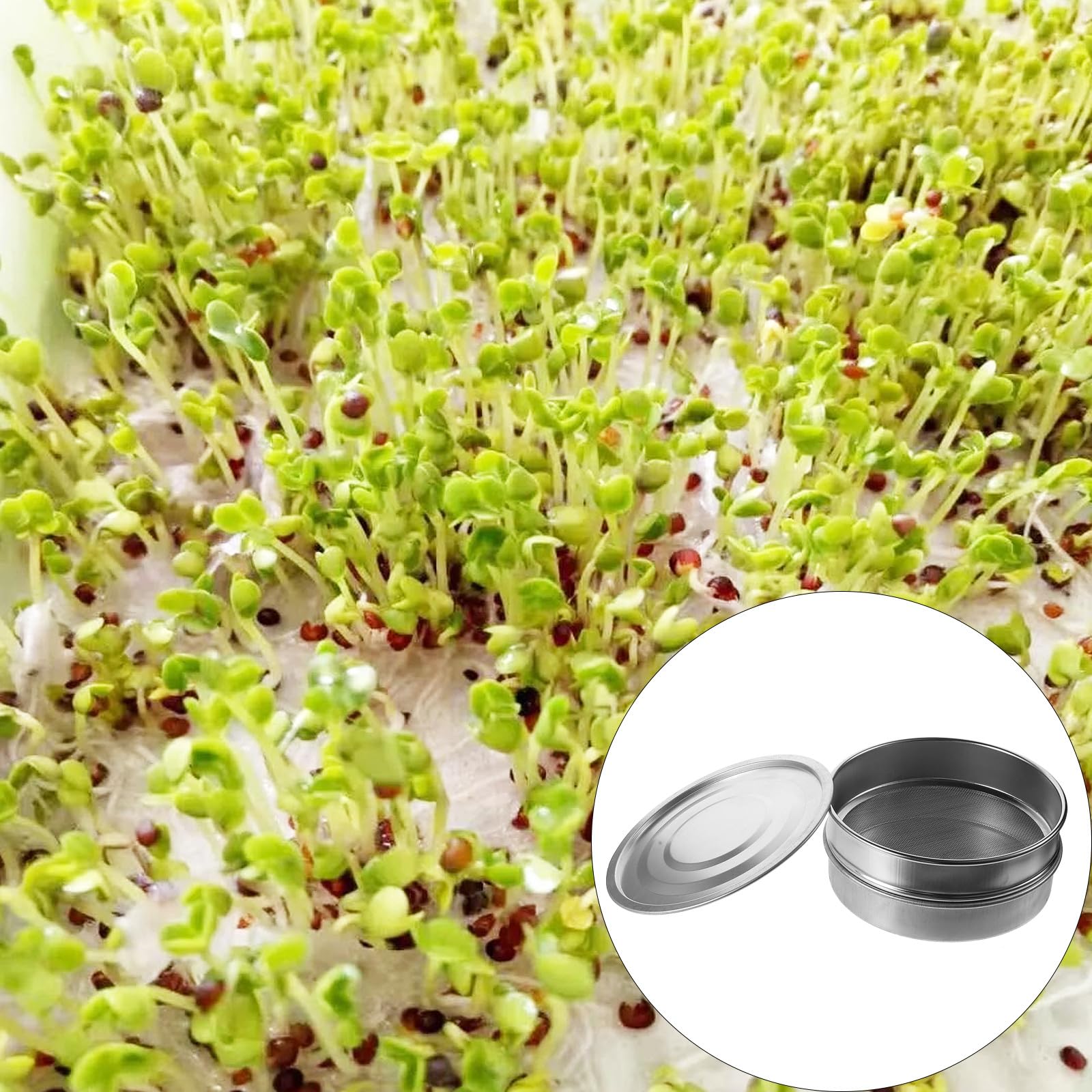 Kichvoe Juego de 3 Bandejas de Germinación de 20 Cm de Acero Inoxidable Malla de 1.25 Mm y Tapa Galvanizada, Accesorio Práctico para Germinar Plantas en Casa y Balcón, Herramienta