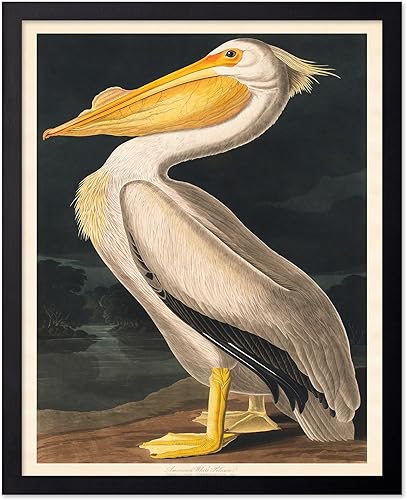 Miniatura 484 de Poster Master Póster vintage de flamenco americano, estampado retro de flamenco rosa, arte de pájaro, regalo para él, ella, amante de los animales,