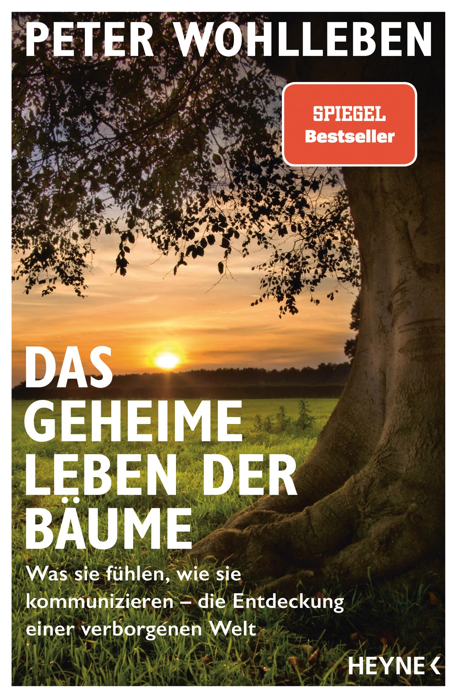 Das geheime leben der Bäume: Was sie fühlen, wie sie kommunizieren – die Entdeckung einer verborgenen Welt