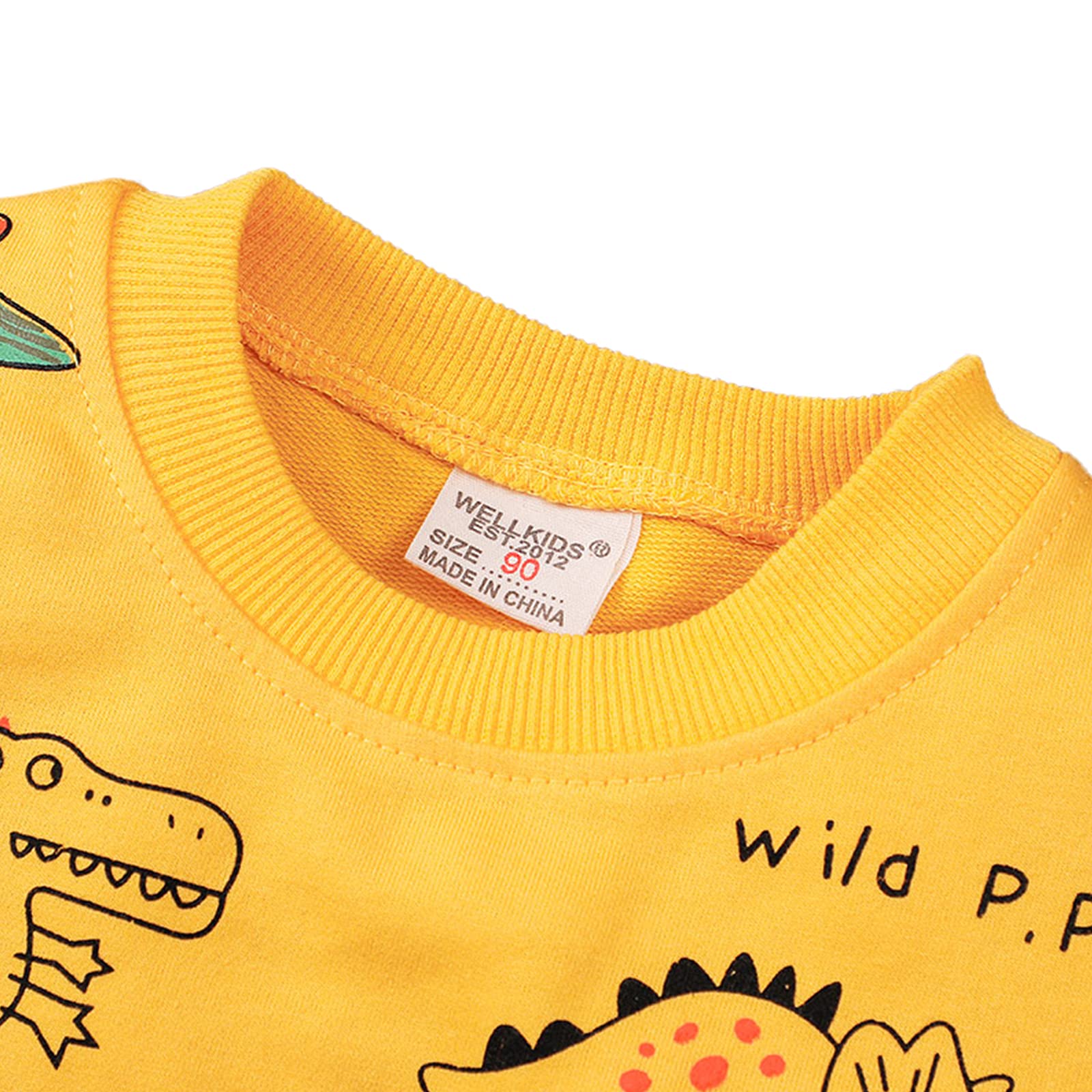 amropi Garçon Ensemble de Survêtement Dinosaure Imprimé Sweatshirt et Jogging Pantalons pour 1-6 Ans