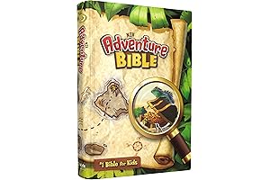Boys Bible: NIV Adventure Bible, Hardcover, Full Color