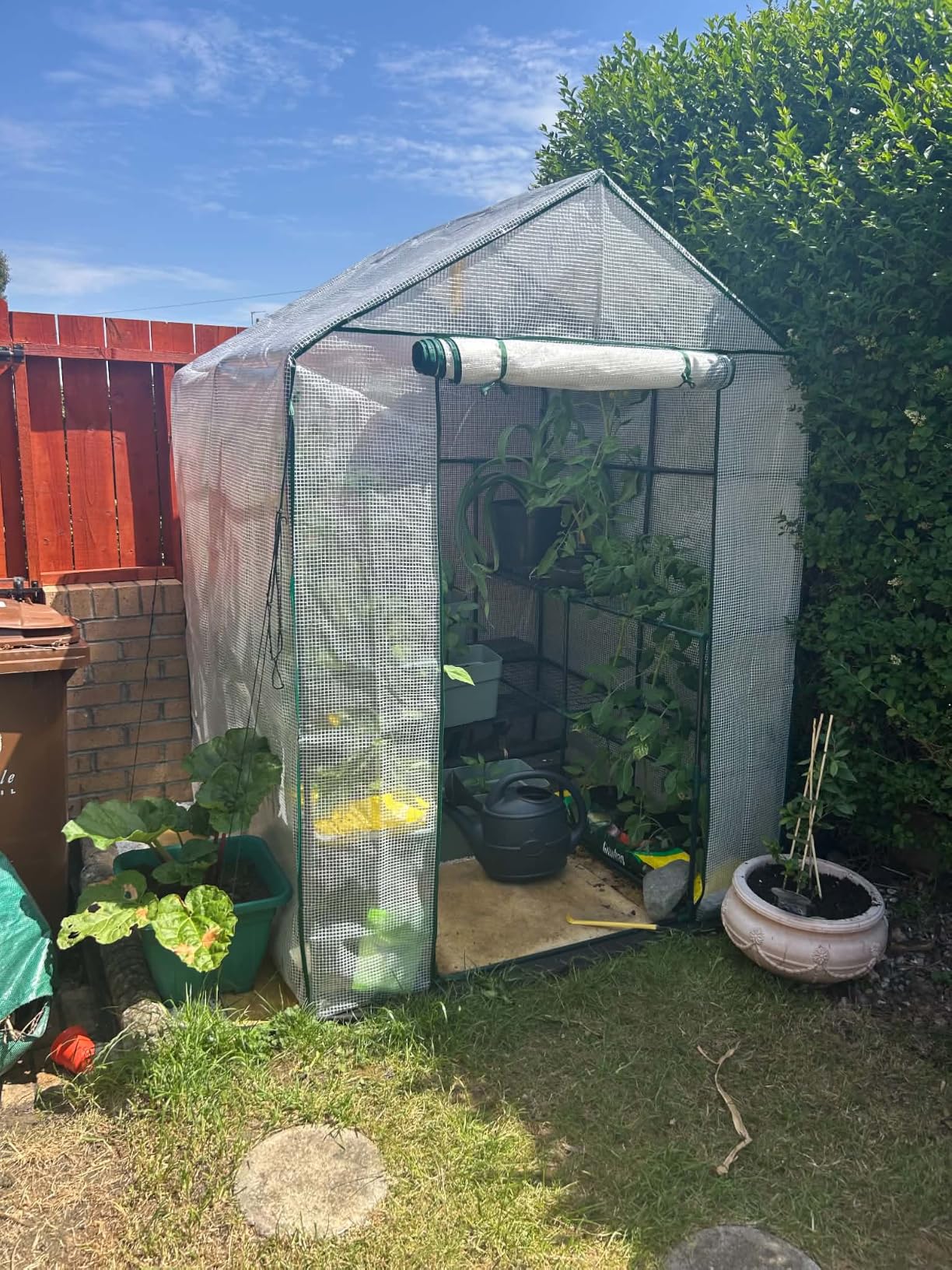 Customer photo