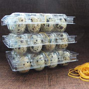 Quail Egg Cartons ,Quail Egg Cartons 50 Pack,Quail Egg Cartons Cheap Bulk Egg Container for Refrigerator,Small Egg Cartons for Family Pasture Farm Markets Display