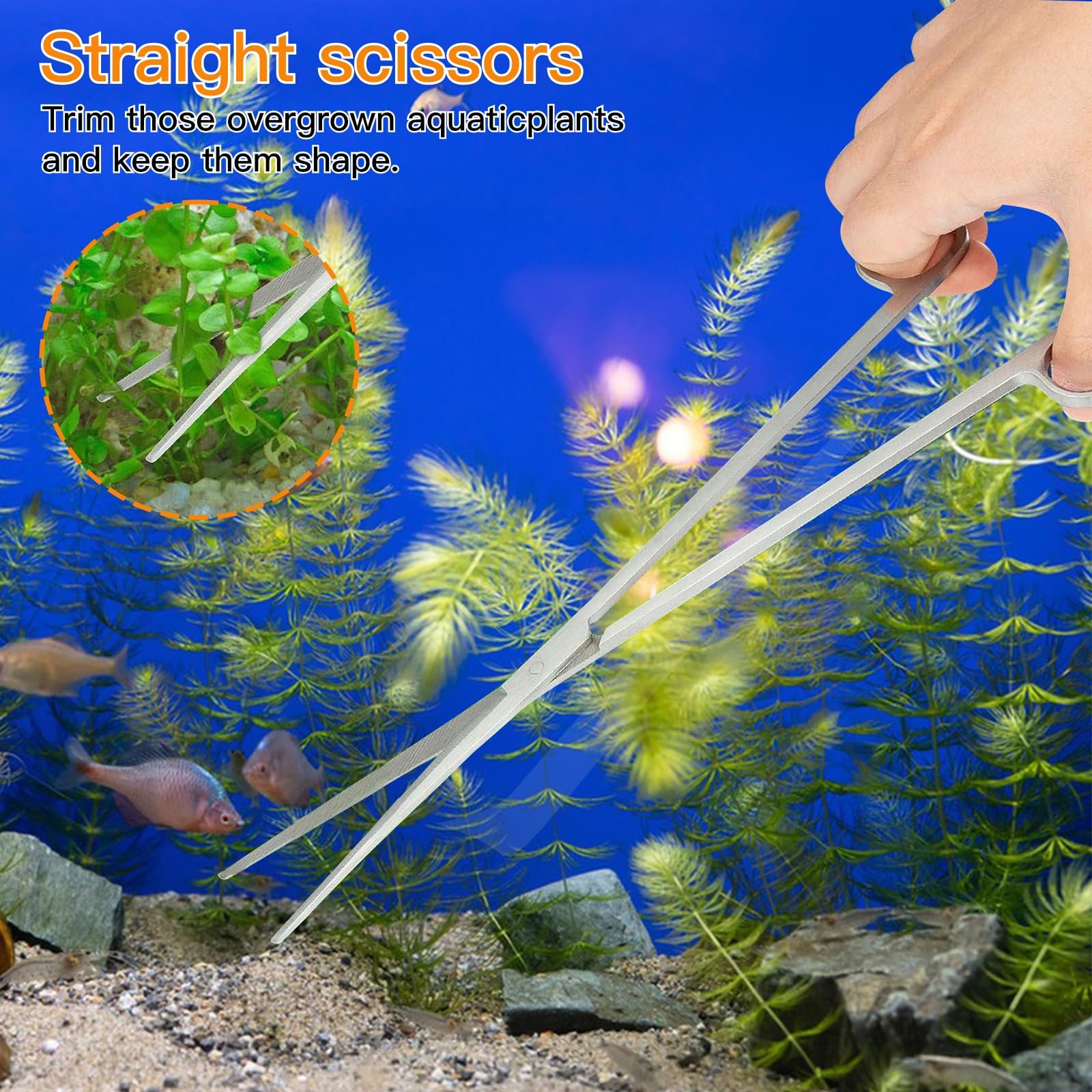 5 in 1 Attrezzi Piante Acquario,in Acciaio Inox Acquatiche Set di Utensili Set Accessori per Acquari Pinzette per Piante Acquatiche Scissor Substrato Spatola Kit di Base per Strumenti Acquario