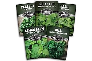Survival Garden Seeds Herb Collection Seed Vault - Parsley Seeds for Planting
