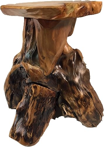 Greener Valley Taburete de madera de raíz, mesa auxiliar, soporte para plantas, muchos usos, 20 pulgadas de alto