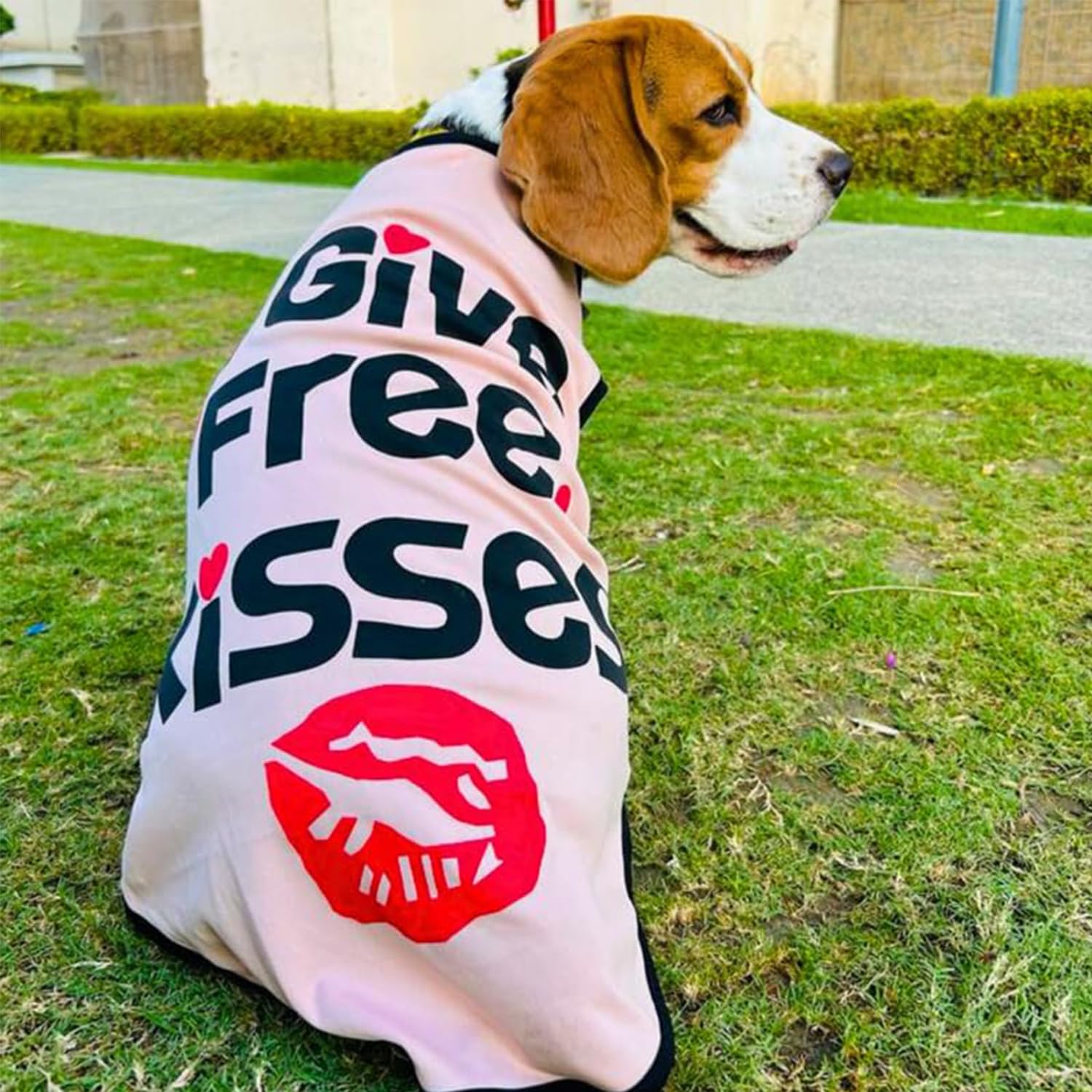 Lulala Dog Shirts Pet Printed Clothes with Funny Letters Summer Pet T Shirts Cool Puppy Shirts Breathable Dog Outfit Sof
