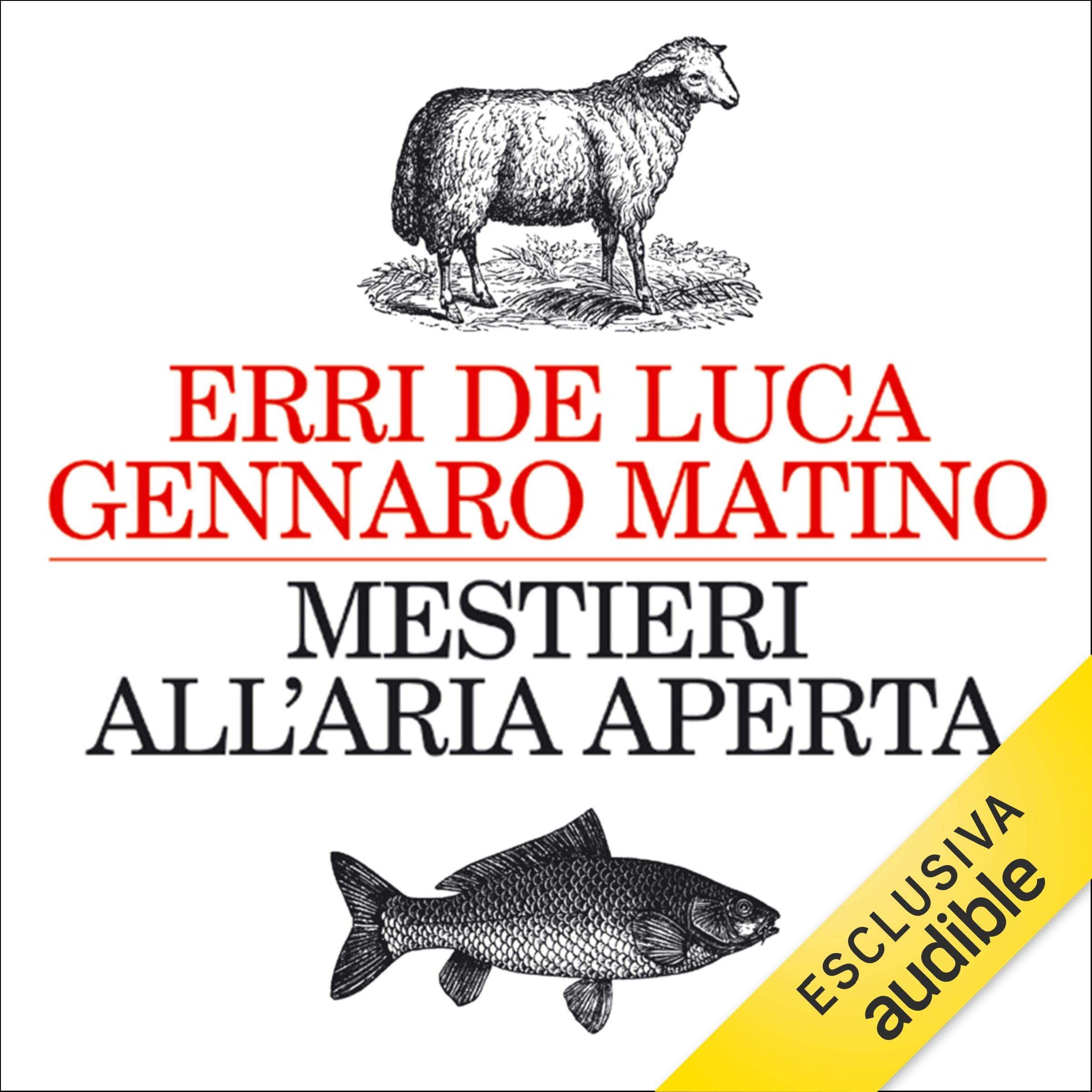 Mestieri all'aria aperta